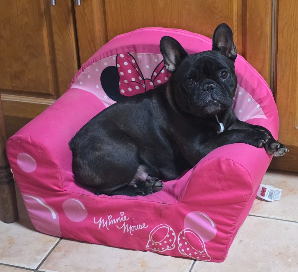 Uhana des joyaux de la vallée