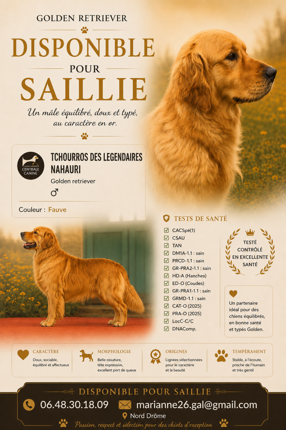 Tchourros des Légendaires Nahauri